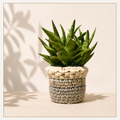 🌿The Haven Basket - Planter Cover
