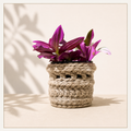 🌿 The Meadow Sleeve – Crochet Planter Cover