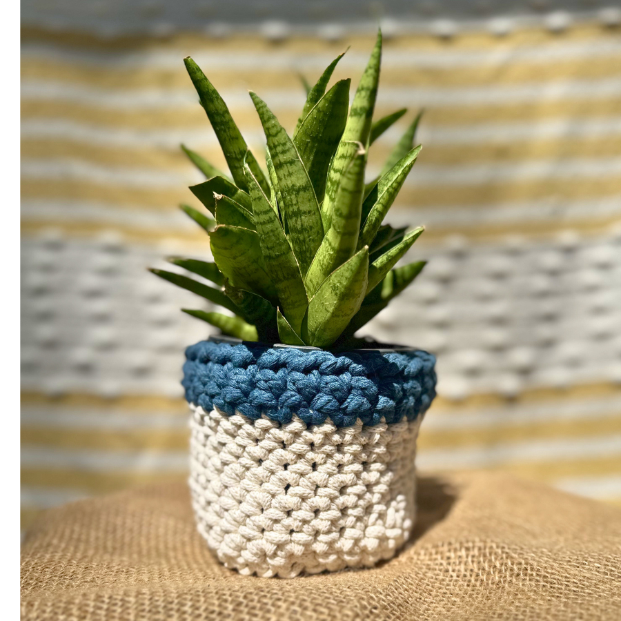 🌊 The Harbor Sleeve – Crochet Planter Cover