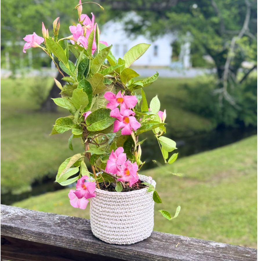 🌿The Gardenia Planter Basket