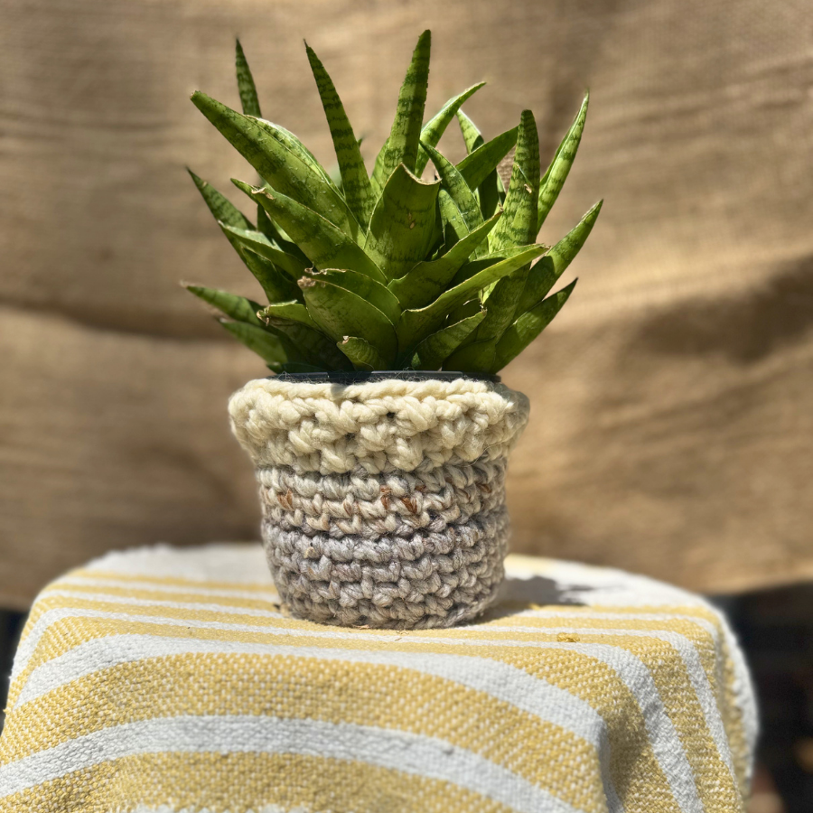 🌿The Haven Basket - Planter Cover