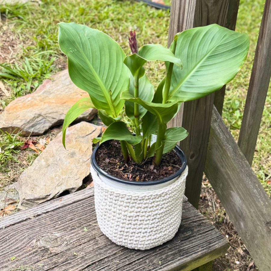 🌿The Gardenia Planter Basket
