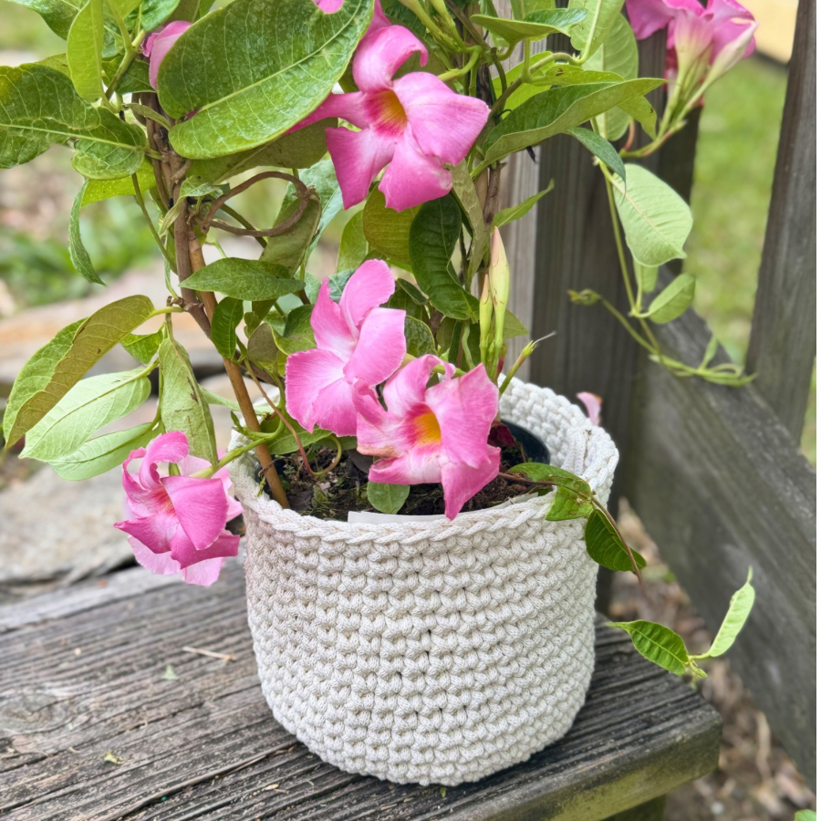 🌿The Gardenia Planter Basket