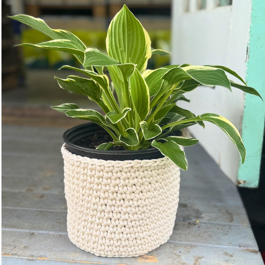 🌿The Gardenia Planter Basket